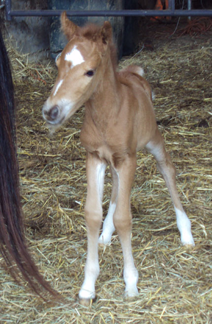 One Day Old